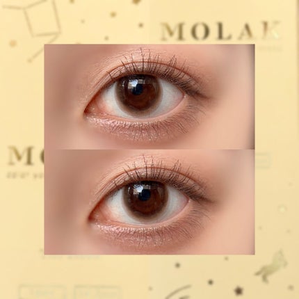MOLAK 1day/MOLAK/ワンデー(1DAY)カラコンを使ったクチコミ(2枚目)