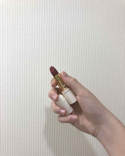 ラスティング リップカラーN/CEZANNE/口紅を使ったクチコミ(1枚目)