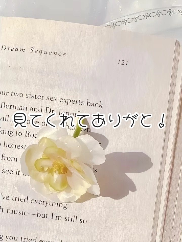 シピエ リップグラッセ シアー/アヴァンセ/口紅を使ったクチコミ(4枚目)