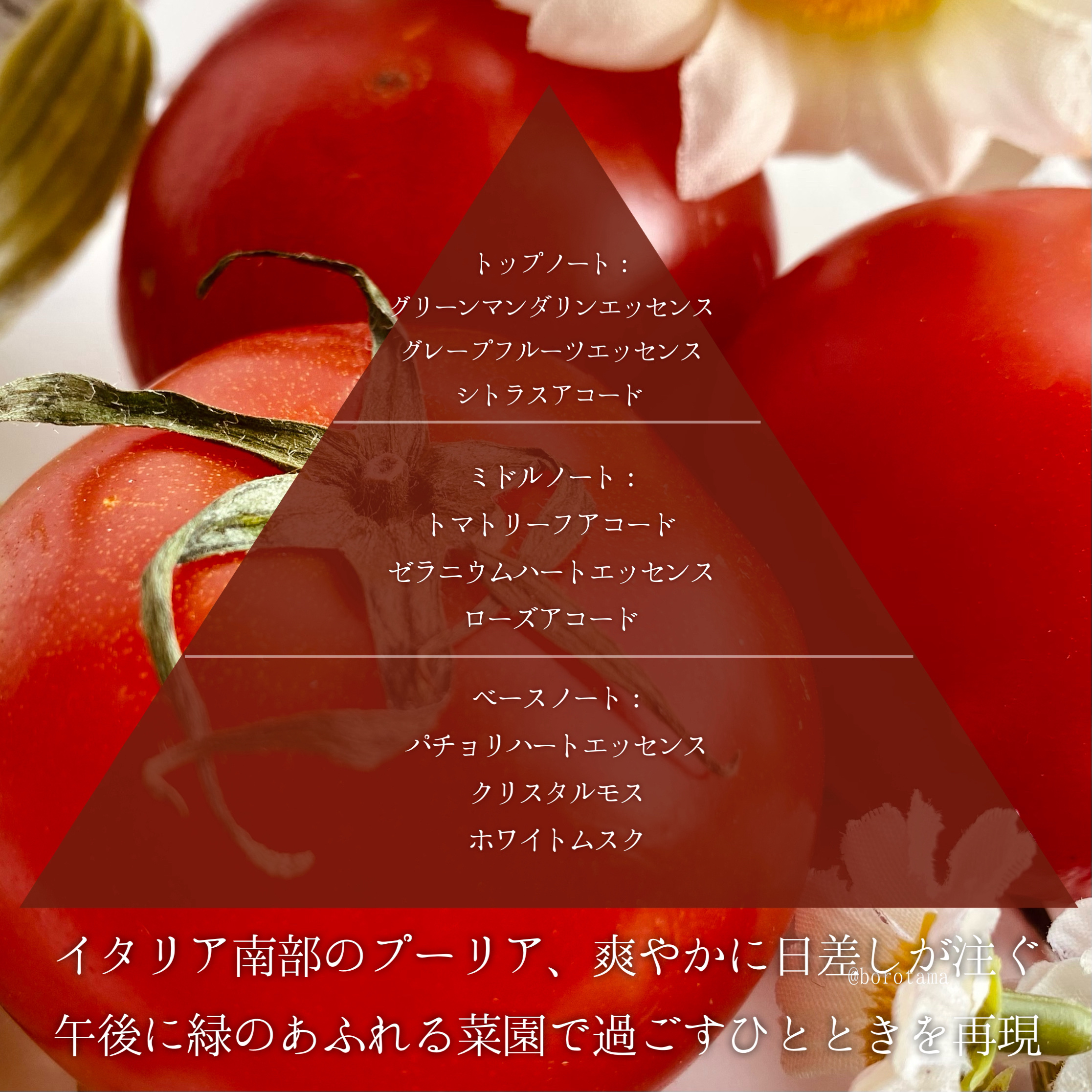 レプリカ オードトワレ フロム ザ ガーデン/Maison Margiela Fragrances/香水(その他)を使ったクチコミ（3枚目）