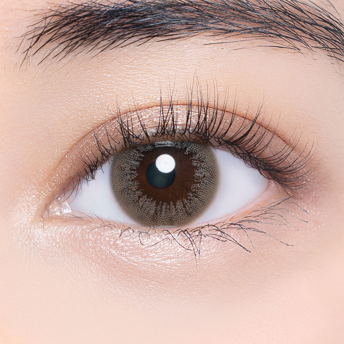 VNTUS 1day エモーション