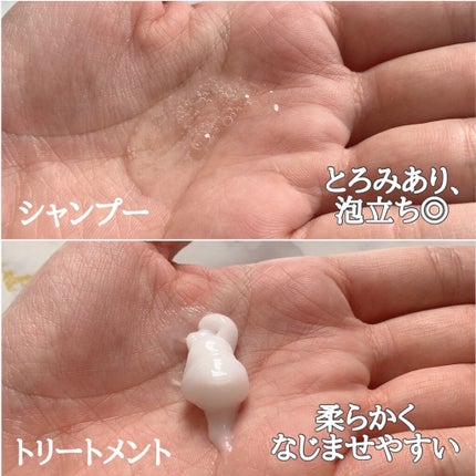 バランスエフェクトシャンプー/トリートメント/スリーク by サラサロン/市販シャンプーを使ったクチコミ(3枚目)