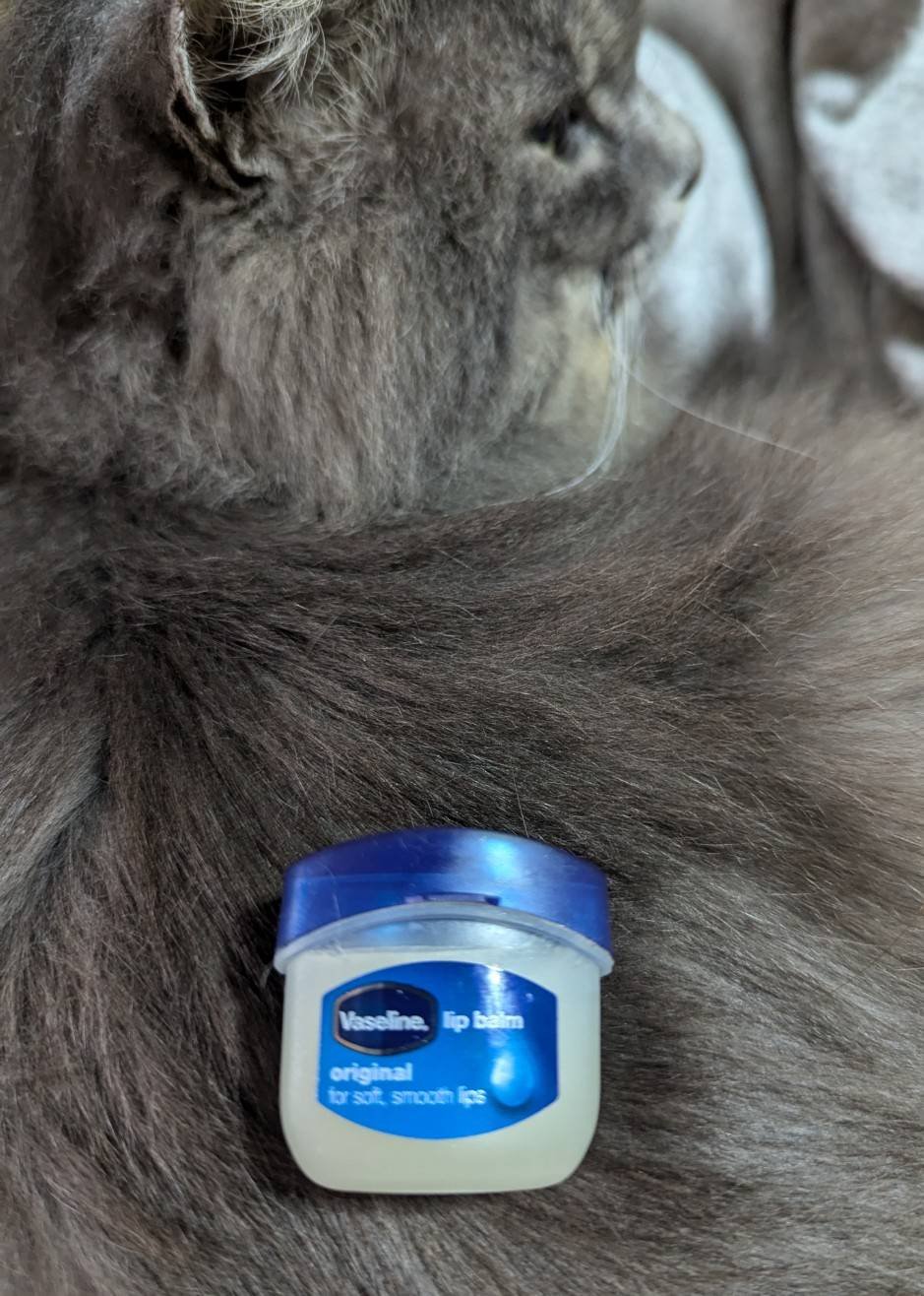 リップ オリジナル/ヴァセリン/リップバームを使ったクチコミ（2枚目）