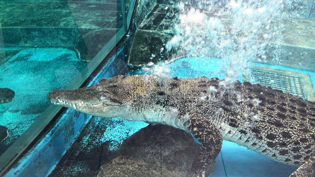 のびーるアイテープ（絆創膏タイプ、レギュラー）/DAISO/二重まぶた用アイテムを使ったクチコミ（1枚目）