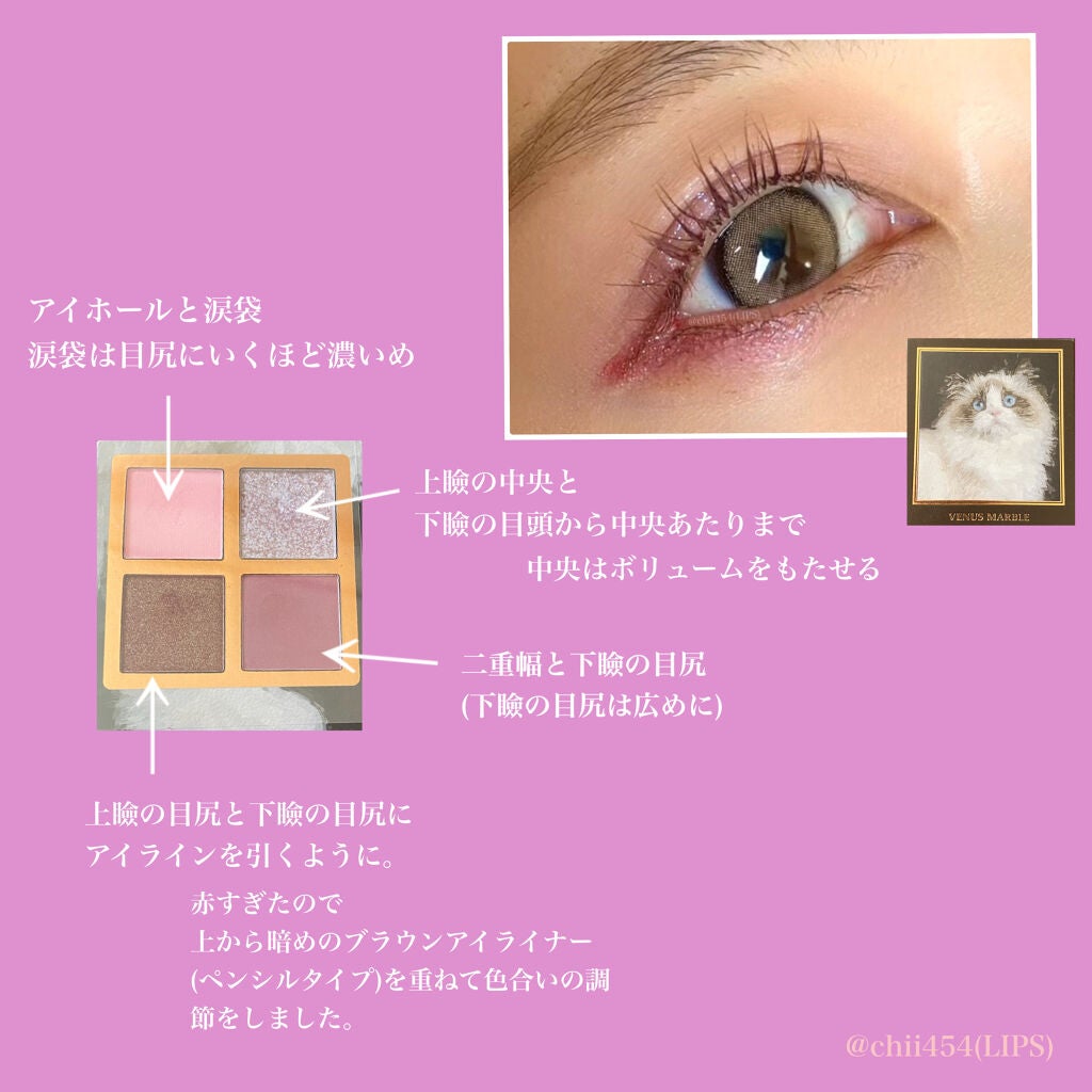 Venus Marble アイシャドウキャットシリーズ/Venus Marble/アイシャドウパレットを使ったクチコミ(2枚目)