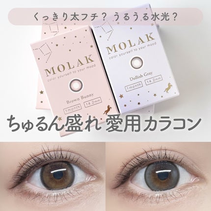 MOLAK 1month/MOLAK/1ヶ月(1MONTH)カラコンを使ったクチコミ(1枚目)