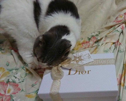 ディオリフィック グリッター トップ コート/Dior/ネイルトップコートを使ったクチコミ(3枚目)