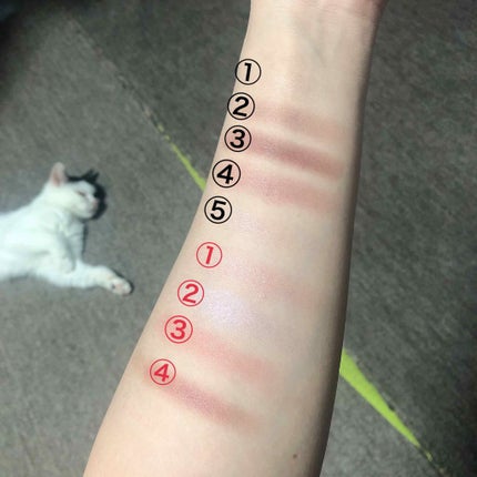 【旧品】パーフェクトスタイリストアイズ/キャンメイク/アイシャドウパレットを使ったクチコミ(3枚目)