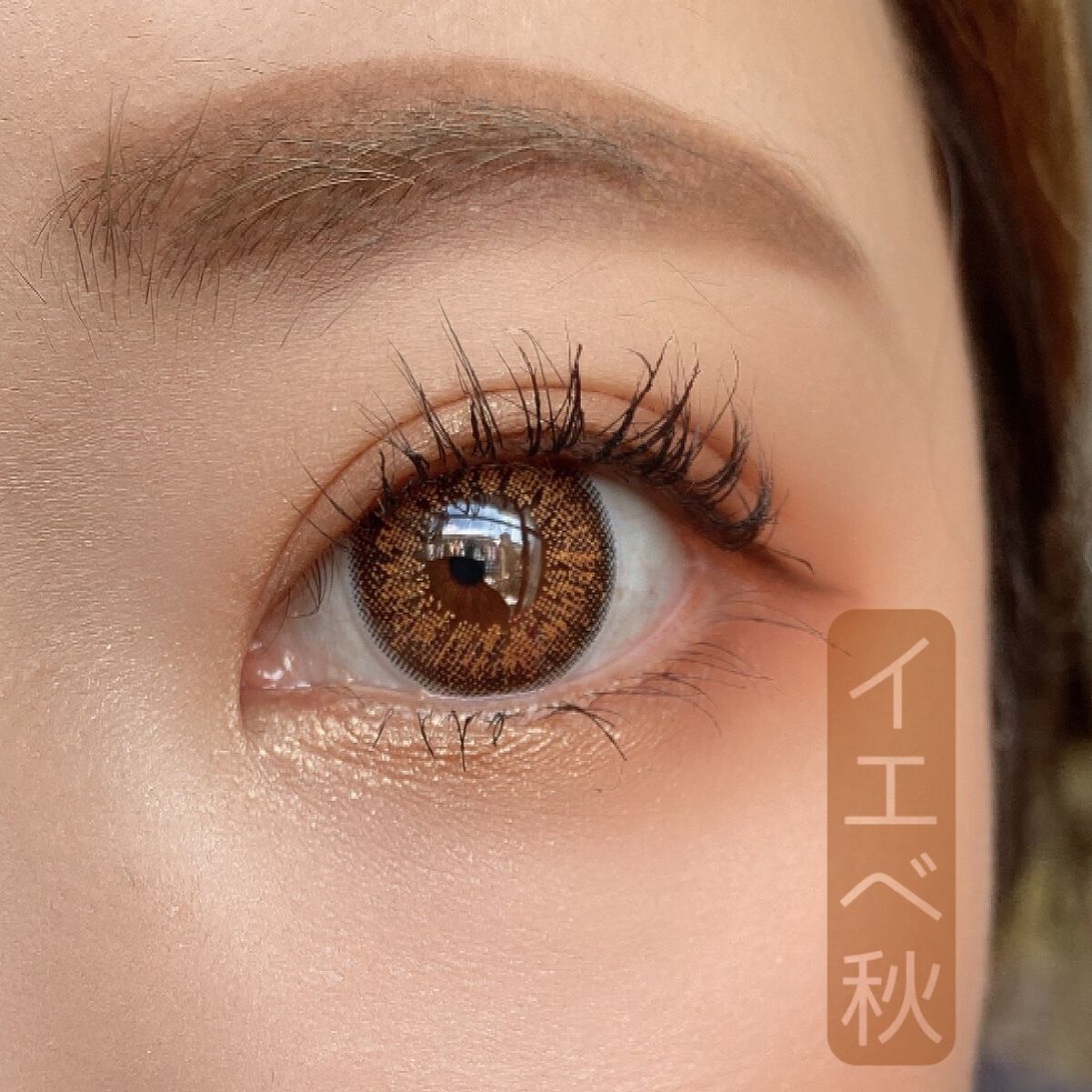 アディクション ザ アイシャドウ パレット/ADDICTION/アイシャドウパレットを使ったクチコミ(5枚目)