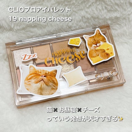 プロ アイ パレット/CLIO/アイシャドウパレットを使ったクチコミ(2枚目)