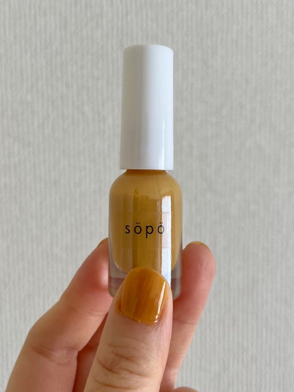 ネイルポリッシュ/sopo/マニキュアを使ったクチコミ(1枚目)
