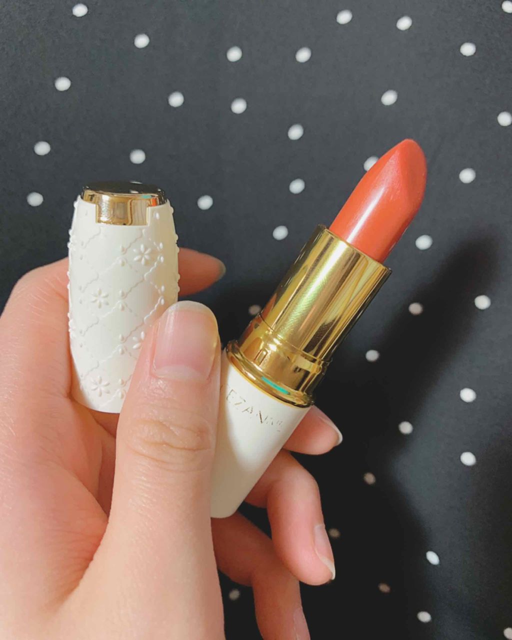 ラスティング リップカラーN/CEZANNE/口紅を使ったクチコミ（2枚目）