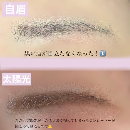 コンシーラーブロウマスカラ/キャンメイク/その他アイブロウを使ったクチコミ(5枚目)