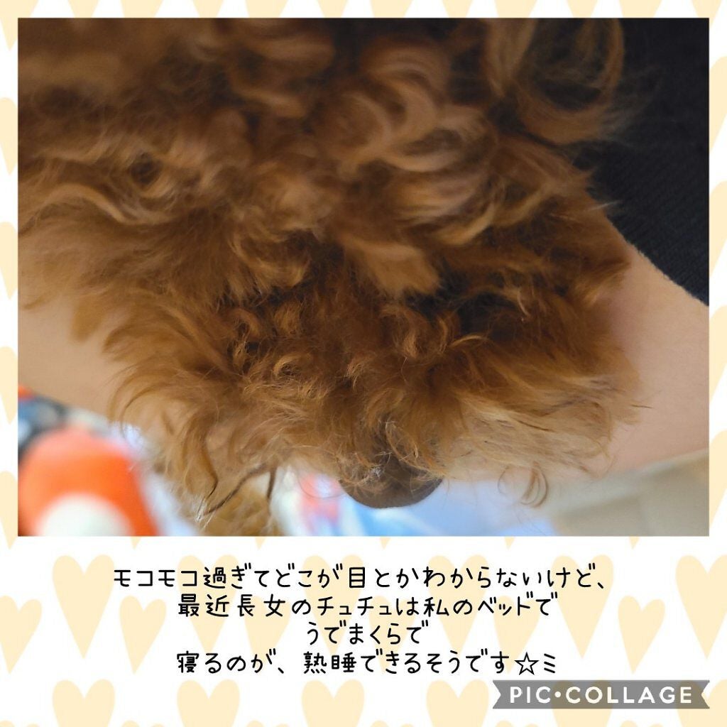 グロウフルールチークス/キャンメイク/パウダーチークを使ったクチコミ(6枚目)