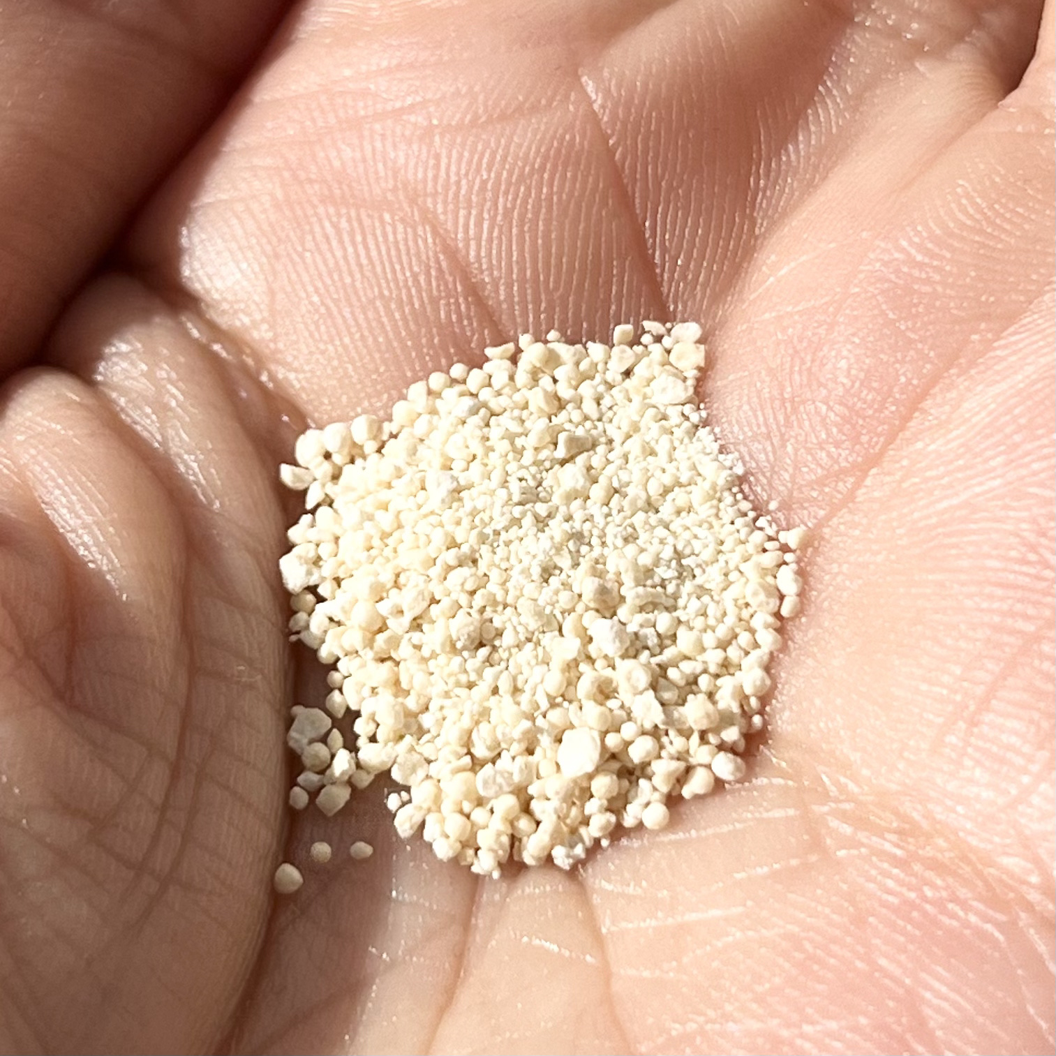 青パパイヤ酵素/コスメキッチン/健康サプリメントを使ったクチコミ（3枚目）