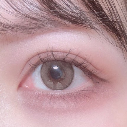 シャインフォールアイズ/LUNASOL/アイシャドウパレットを使ったクチコミ(6枚目)