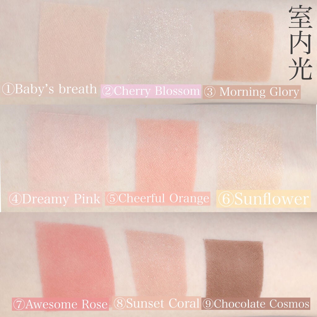 ワンピックアイシャドウパレット/APLIN/アイシャドウパレットを使ったクチコミ(5枚目)