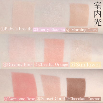 ワンピックアイシャドウパレット/APLIN/アイシャドウパレットを使ったクチコミ(5枚目)