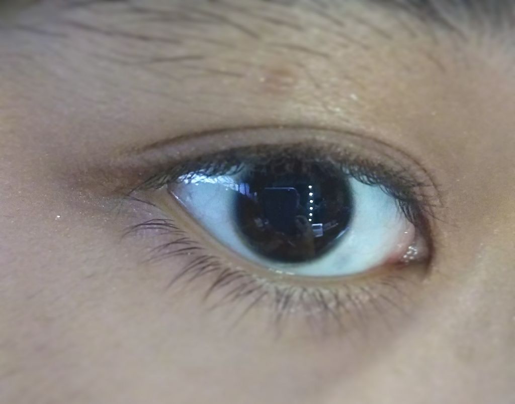 12色アイシャドウパレット/LOUJENE/アイシャドウパレットを使ったクチコミ(2枚目)