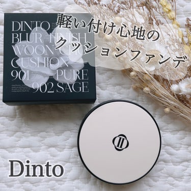 Dinto blur  finish  cushionのクチコミ「.
.
〖 PR 〗 本商品は商品を無償提供により作成致しました。

〖Dinto blur .....」（1枚目）