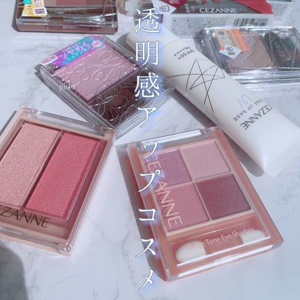 ノーズ&アイブロウパウダー/CEZANNE/パウダーアイブロウを使ったクチコミ(1枚目)