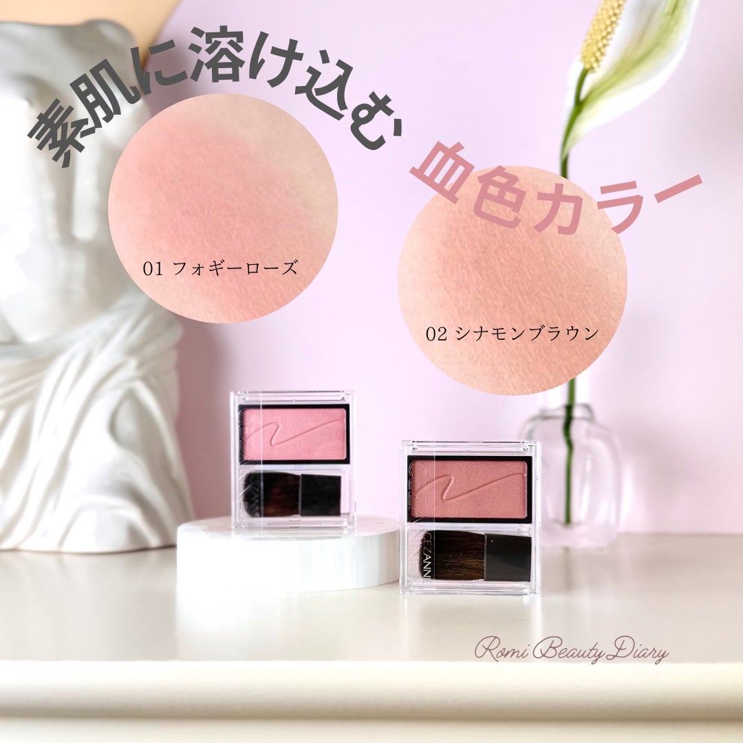 チークブラッシュ/CEZANNE/パウダーチークを使ったクチコミ(1枚目)