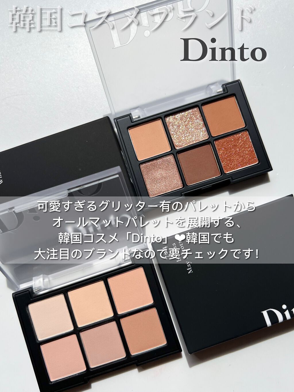 ブラーフィニシュシャドウパレット/Dinto/アイシャドウパレットを使ったクチコミ（2枚目）