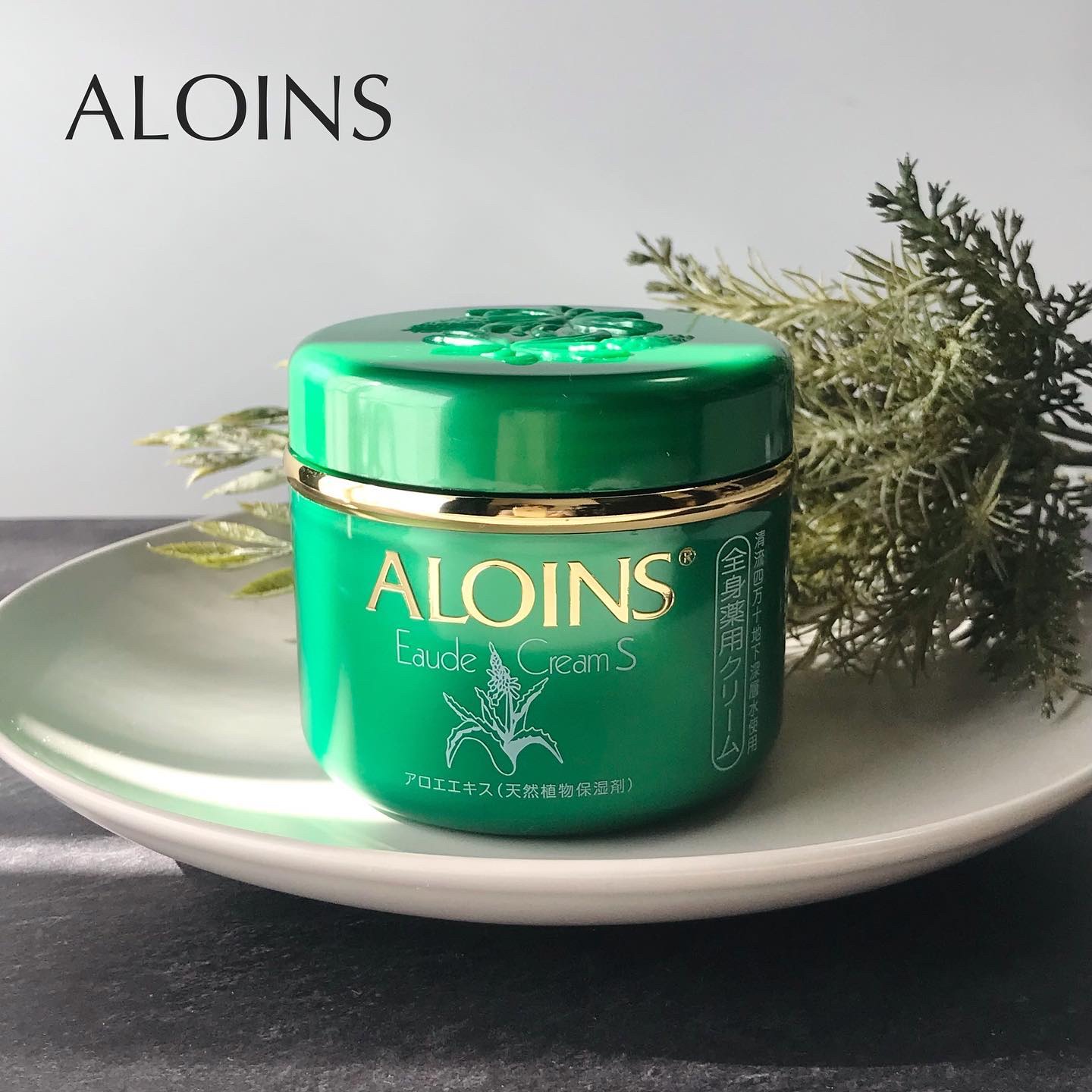 オーデ オーデクリームSのクチコミ「🌿 アロインス　オーデクリームS
 
昔からよく見かけるロングセラーの薬用アロエスキンクリーム.....」（1枚目）