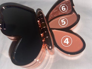 butterfly 6 colors Eye Shadow/gecomo/アイシャドウパレットを使ったクチコミ（3枚目）