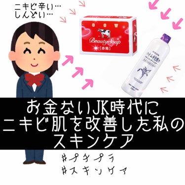 ✨思春期ニキビ向け
高校時代、
お金ない時に行っていたスキンケア🌷

🥺プチプラでオススメなもの🥺

①ナチュリエ ハトムギ化粧水

とりあえずこれを大量使いしてました。ベタベタしていないので、とりあえ