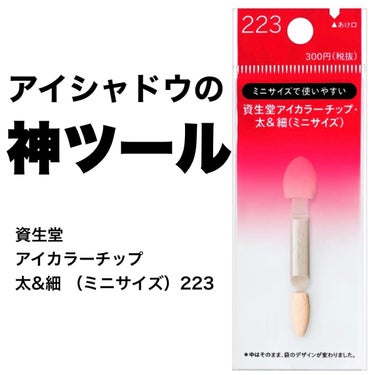 アイカラーチップ・太&細 (ミニサイズ) 223/SHISEIDO/その他化粧小物を使ったクチコミ（1枚目）