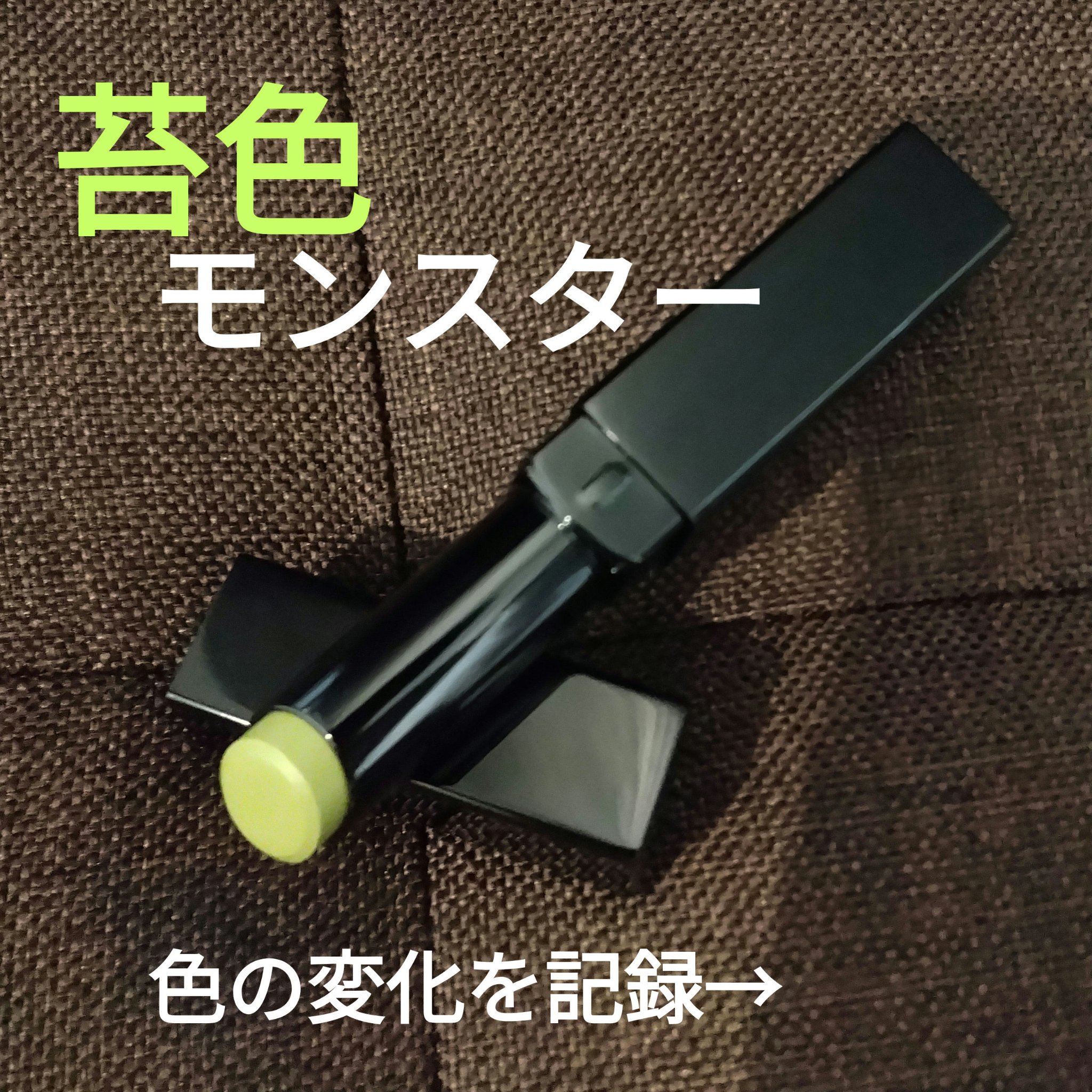 ケイト リップモンスターカラートナー EX-1 苔色モンスター(限定)/KATE/口紅を使ったクチコミ（1枚目）