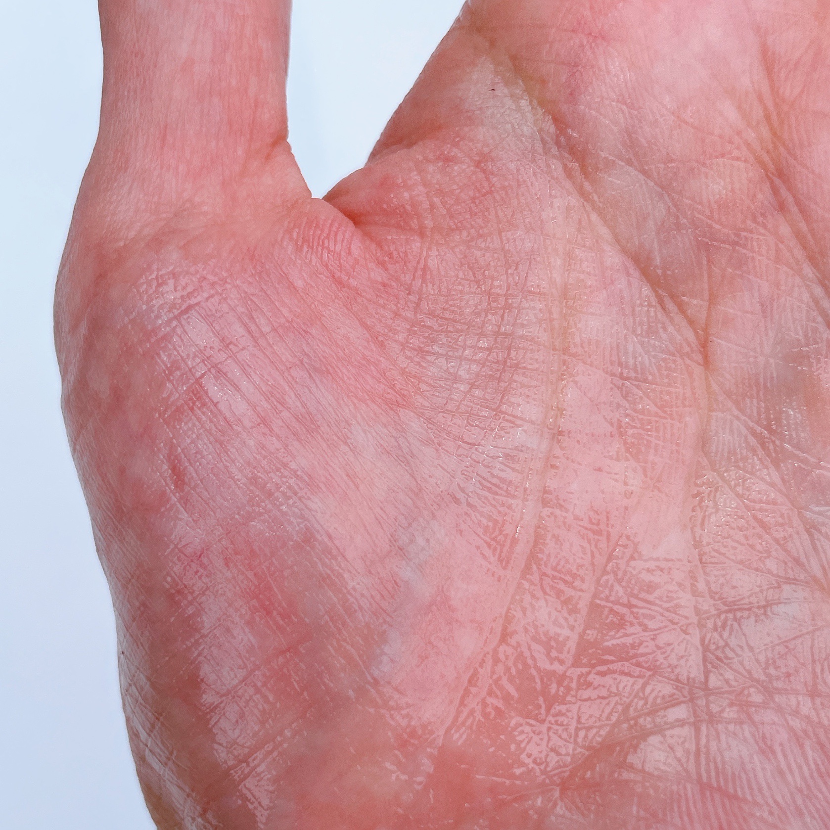 白米一番搾りタンパク質トナー/FLASKIN/化粧水を使ったクチコミ（3枚目）