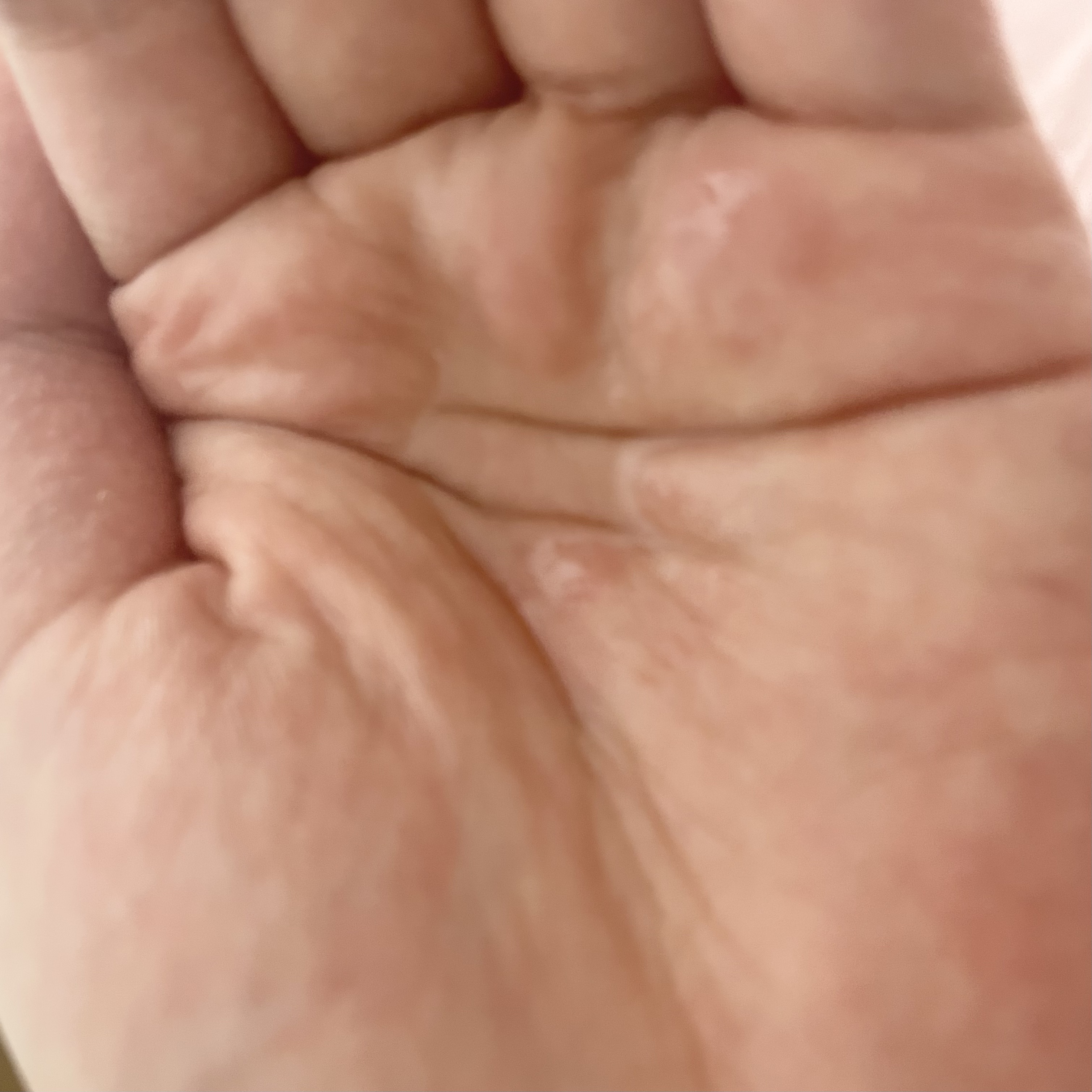 ビタペアCビッグトナー/ネイチャーリパブリック/化粧水を使ったクチコミ（2枚目）