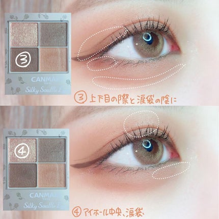 シルキースフレアイズ(マットタイプ)/キャンメイク/アイシャドウパレットを使ったクチコミ(3枚目)