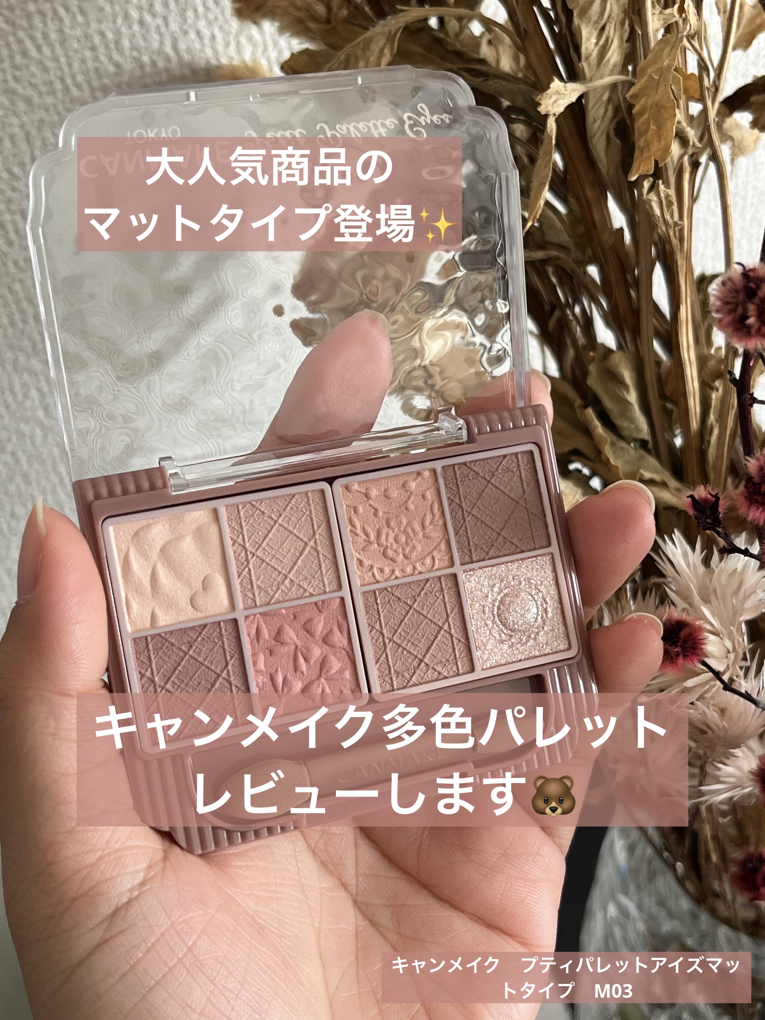 プティパレットアイズ（マットタイプ）/キャンメイク/パウダーアイシャドウを使ったクチコミ（1枚目）