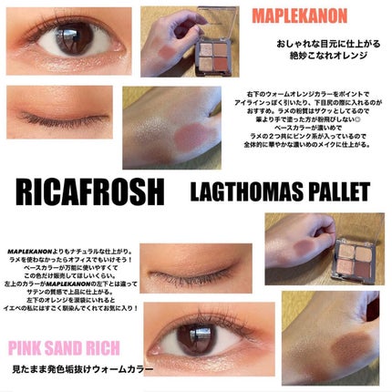 ラグトーマスパレット/RICAFROSH/アイシャドウパレットを使ったクチコミ(2枚目)