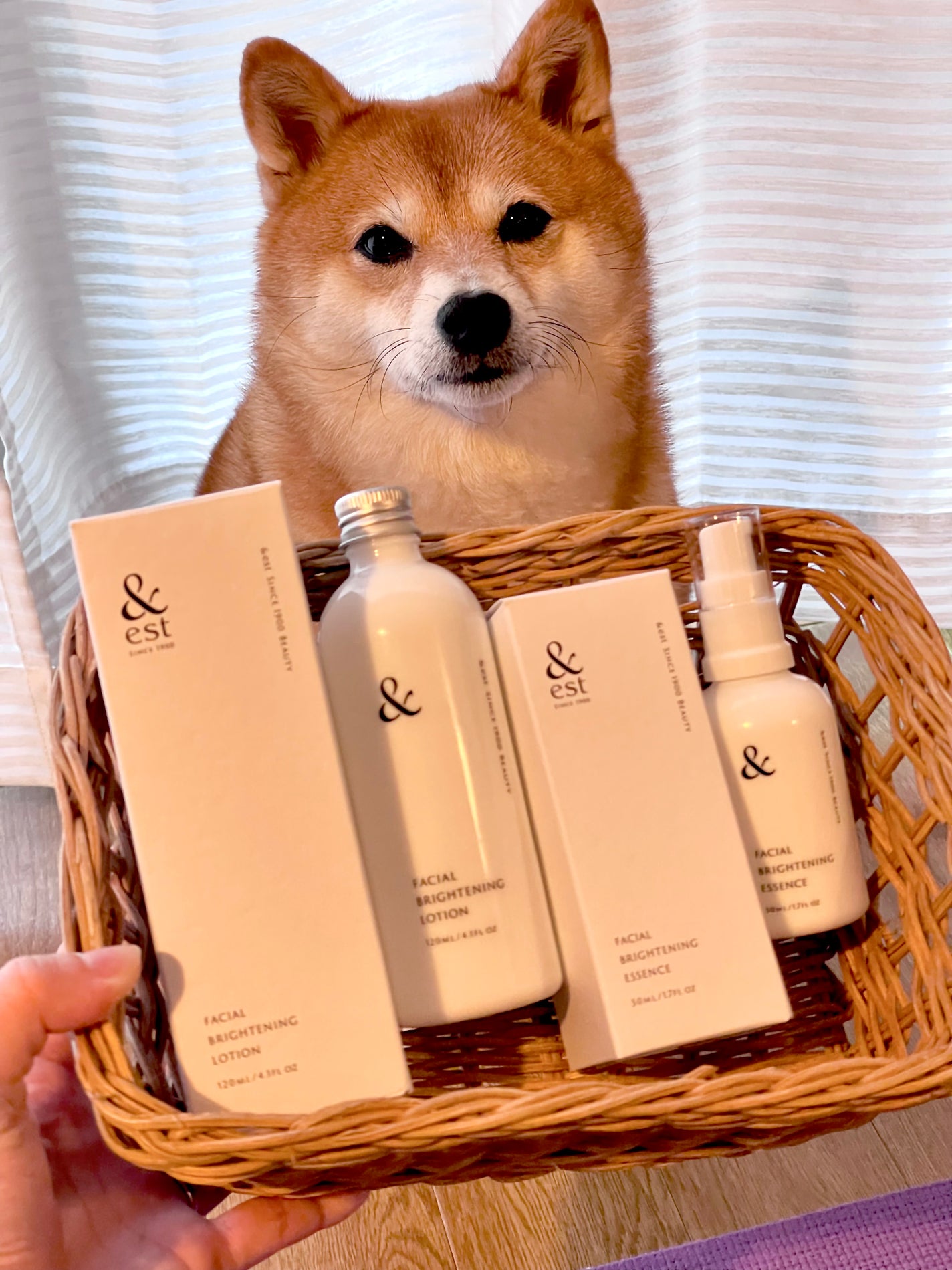 薬用ブライドニングローション/&est/化粧水を使ったクチコミ(1枚目)