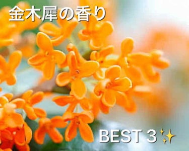 みなさまこんばんは！
2回目の投稿、Sizuneでございます🏵

金木犀の香水を3つ買いました。全て揃ったので、比べてみます！



それでは3位から、let's go→→→





　　　　　　　　