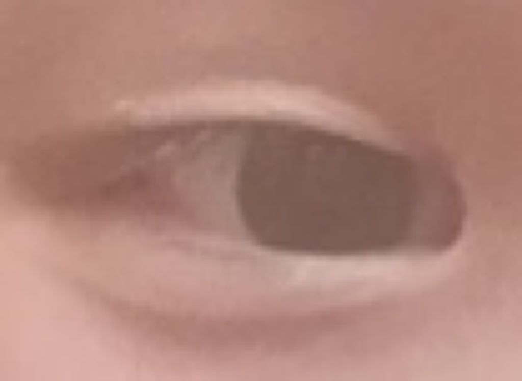 オリジナル ピュアスキンジェリー/ヴァセリン/ボディクリームを使ったクチコミ（2枚目）