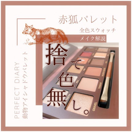 エクスプローラ12色 動物アイシャドウパレット/PERFECT DIARY/アイシャドウパレットを使ったクチコミ(1枚目)