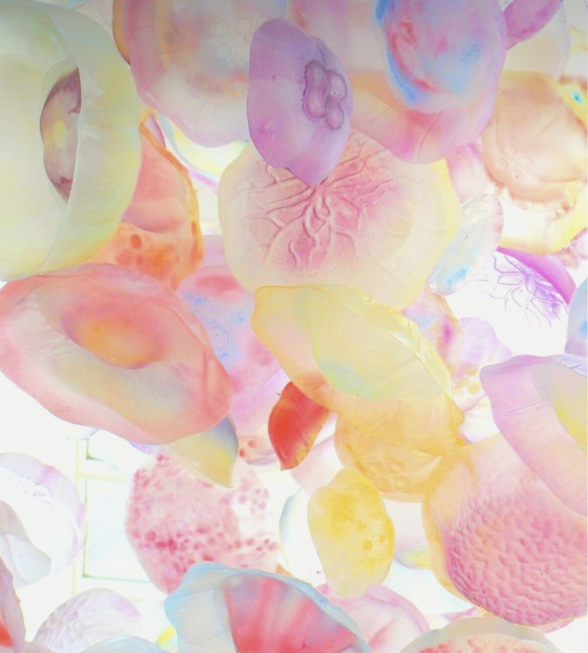 ネイル検定の
3級
合格しました！

応援していただいて
ありがとうございました
😭❤️‍🔥✨


