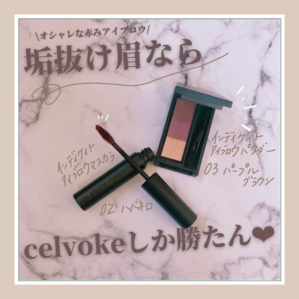 セルヴォーク インディケイトアイブロウパウダー/Celvoke/パウダーアイブロウを使ったクチコミ(1枚目)