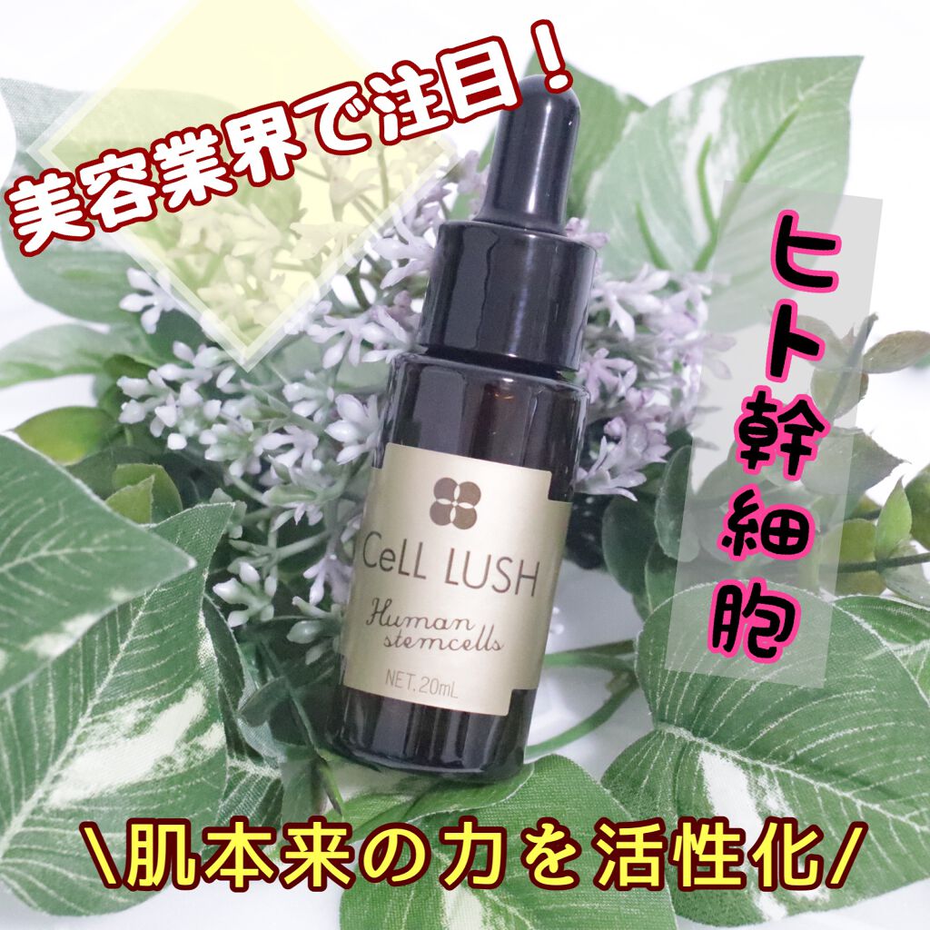 ヒト幹細胞配合美容液/セルラッシュ/美容液を使ったクチコミ（1枚目）