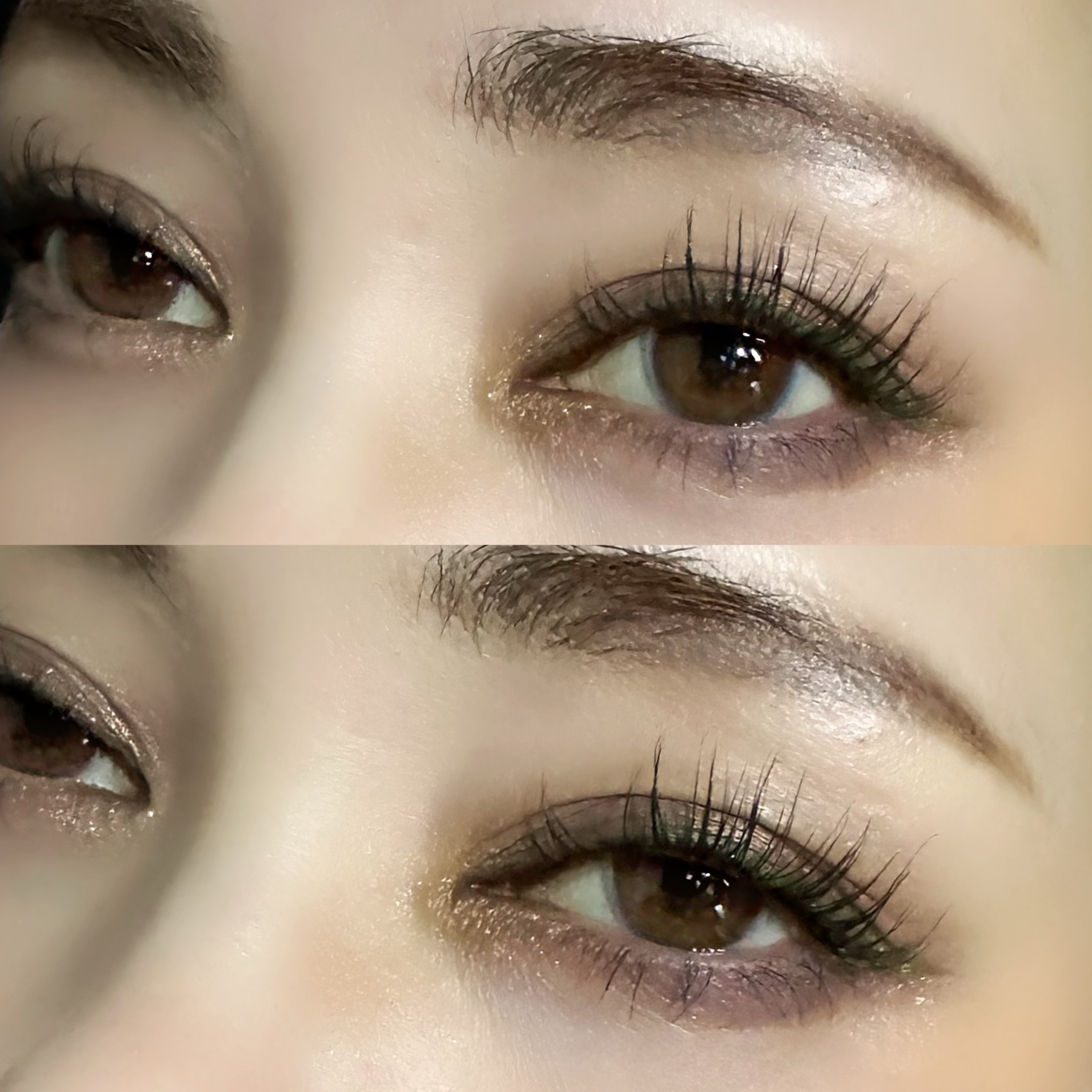 Mother Ship VII Divine Rose /PAT McGRATH LABS/アイシャドウパレットを使ったクチコミ（1枚目）