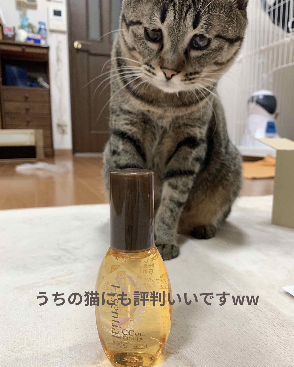 CCオイル/エッセンシャル/ヘアオイルを使ったクチコミ(2枚目)