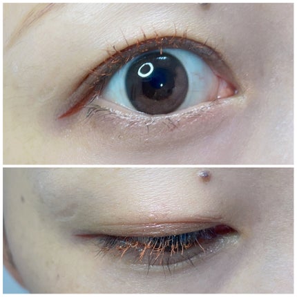 シャドーカスタマイズ/MAJOLICA MAJORCA/単色アイシャドウを使ったクチコミ(2枚目)