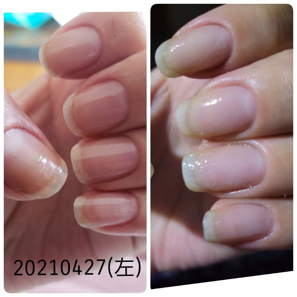 シア ハンドクリーム/L'OCCITANE/ハンドクリームを使ったクチコミ(2枚目)