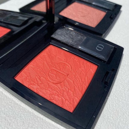 サンク クルール クチュール<バーズ オブ ア フェザー>/Dior/アイシャドウパレットを使ったクチコミ(7枚目)