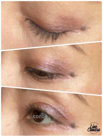 フラロッソ インテンソ アイシャドウ VI01/アスタリフト/アイシャドウパレットの画像